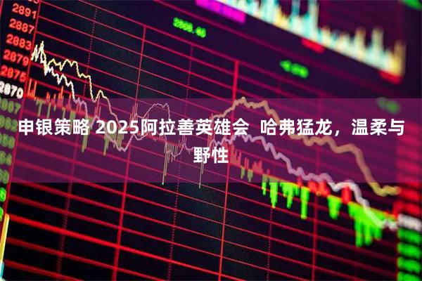 申银策略 2025阿拉善英雄会  哈弗猛龙，温柔与野性